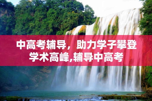 中高考辅导，助力学子攀登学术高峰,辅导中高考