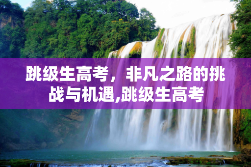 跳级生高考，非凡之路的挑战与机遇,跳级生高考