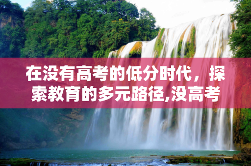 在没有高考的低分时代，探索教育的多元路径,没高考低
