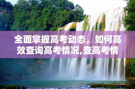 全面掌握高考动态，如何高效查询高考情况,查高考情况