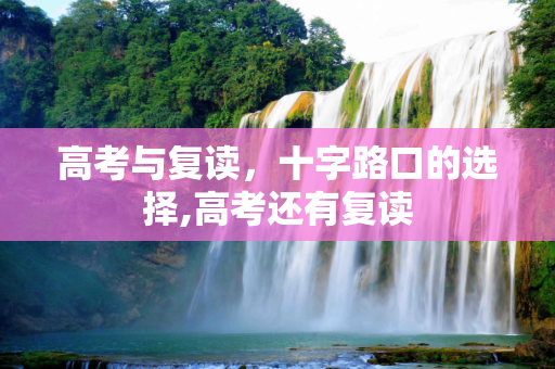高考与复读，十字路口的选择,高考还有复读