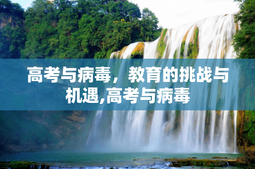 高考与病毒，教育的挑战与机遇,高考与病毒