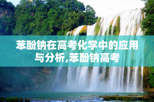 苯酚钠在高考化学中的应用与分析,苯酚钠高考
