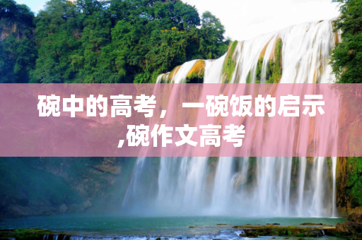 碗中的高考，一碗饭的启示,碗作文高考
