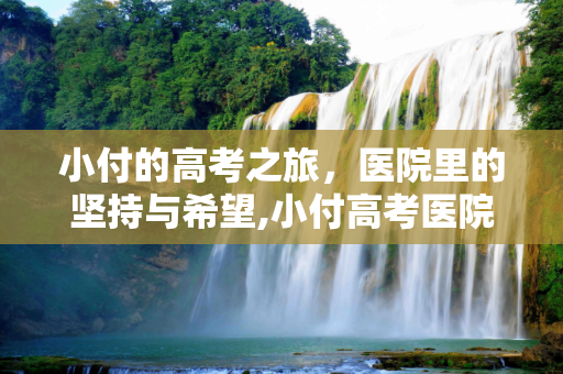 小付的高考之旅，医院里的坚持与希望,小付高考医院