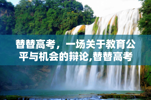 替替高考，一场关于教育公平与机会的辩论,替替高考