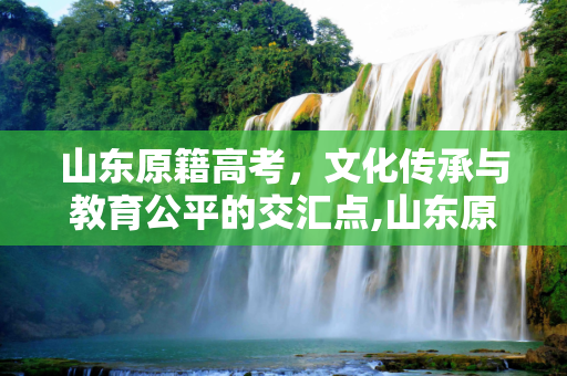 山东原籍高考，文化传承与教育公平的交汇点,山东原籍高考