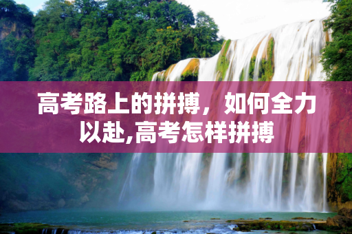 高考路上的拼搏，如何全力以赴,高考怎样拼搏