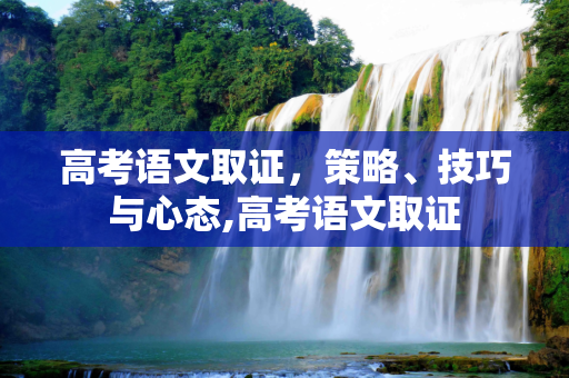 高考语文取证，策略、技巧与心态,高考语文取证