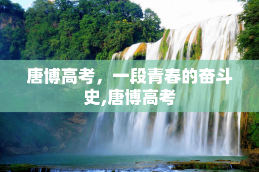 唐博高考，一段青春的奋斗史,唐博高考