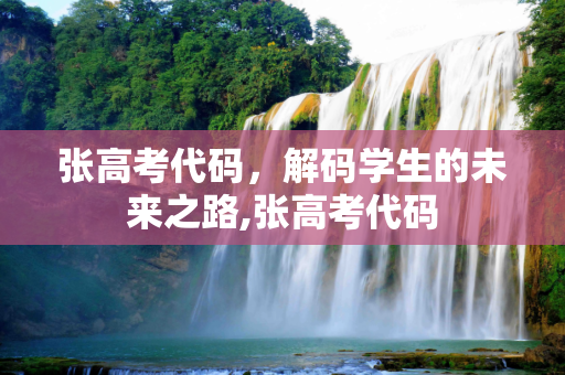 张高考代码，解码学生的未来之路,张高考代码