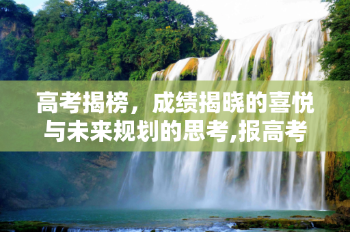 高考揭榜，成绩揭晓的喜悦与未来规划的思考,报高考成绩