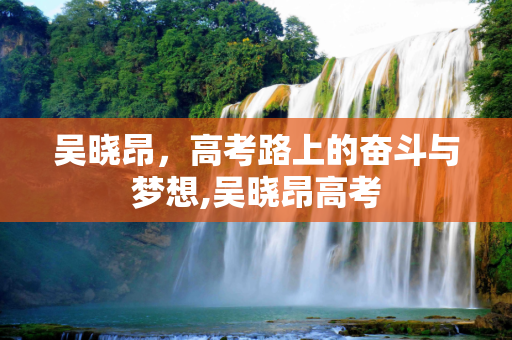 吴晓昂，高考路上的奋斗与梦想,吴晓昂高考