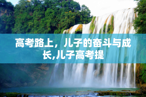 高考路上，儿子的奋斗与成长,儿子高考提
