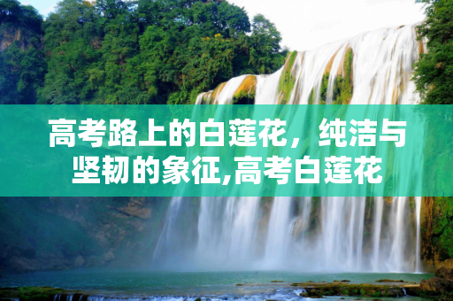 高考路上的白莲花，纯洁与坚韧的象征,高考白莲花