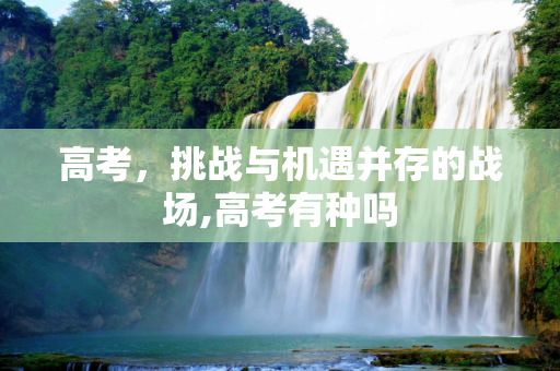 高考，挑战与机遇并存的战场,高考有种吗