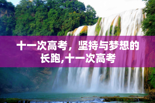 十一次高考，坚持与梦想的长跑,十一次高考