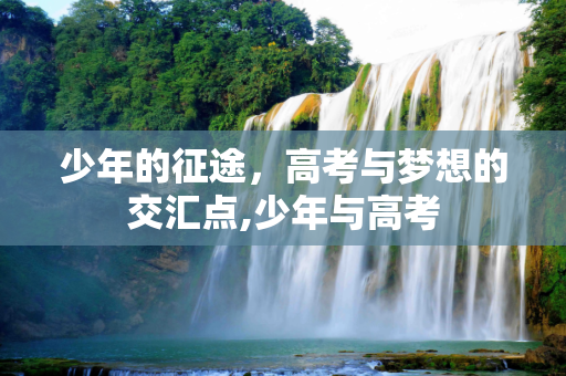 少年的征途，高考与梦想的交汇点,少年与高考