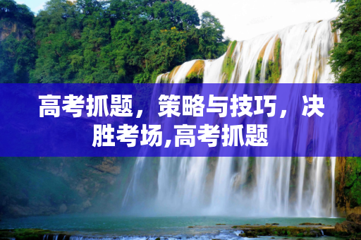 高考抓题，策略与技巧，决胜考场,高考抓题