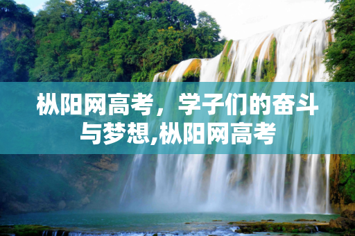 枞阳网高考，学子们的奋斗与梦想,枞阳网高考