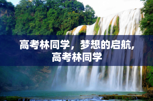 高考林同学，梦想的启航,高考林同学