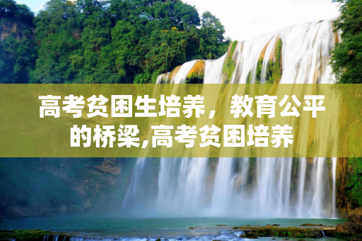 高考贫困生培养，教育公平的桥梁,高考贫困培养