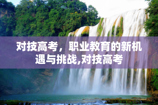 对技高考，职业教育的新机遇与挑战,对技高考