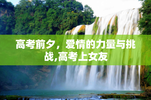 高考前夕，爱情的力量与挑战,高考上女友