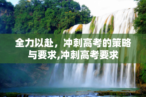 全力以赴，冲刺高考的策略与要求,冲刺高考要求