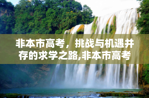 非本市高考，挑战与机遇并存的求学之路,非本市高考