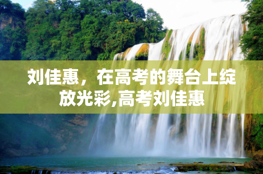 刘佳惠，在高考的舞台上绽放光彩,高考刘佳惠