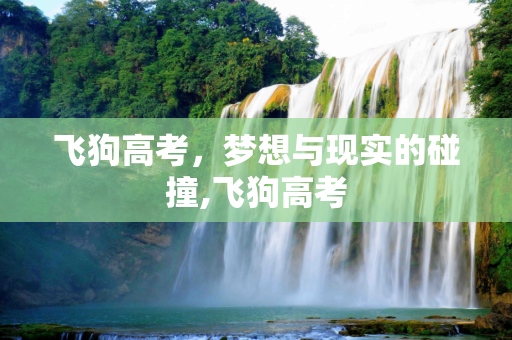飞狗高考，梦想与现实的碰撞,飞狗高考