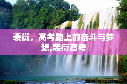 裴衍，高考路上的奋斗与梦想,裴衍高考