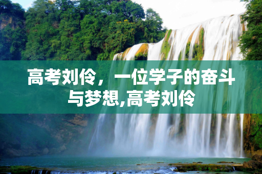 高考刘伶，一位学子的奋斗与梦想,高考刘伶