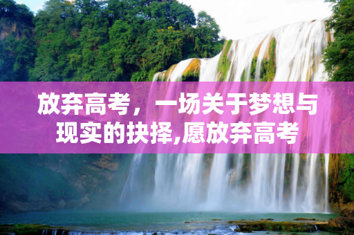 放弃高考，一场关于梦想与现实的抉择,愿放弃高考