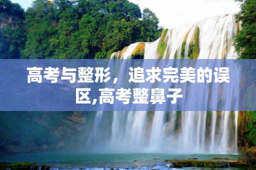 高考与整形，追求完美的误区,高考整鼻子