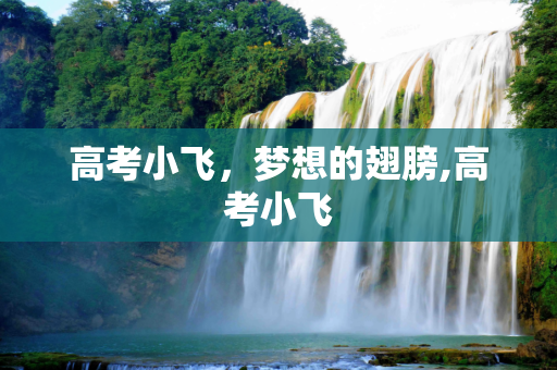 高考小飞，梦想的翅膀,高考小飞