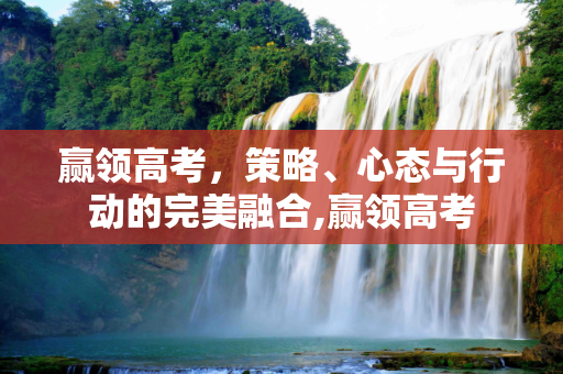 赢领高考，策略、心态与行动的完美融合,赢领高考