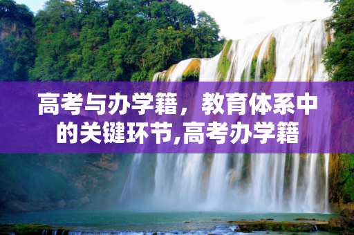 高考与办学籍，教育体系中的关键环节,高考办学籍