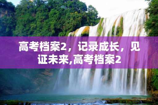 高考档案2，记录成长，见证未来,高考档案2