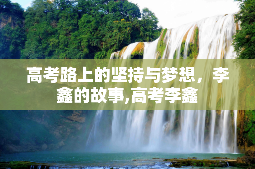 高考路上的坚持与梦想，李鑫的故事,高考李鑫