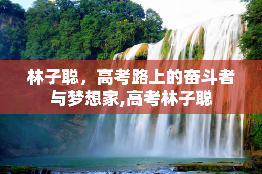 林子聪，高考路上的奋斗者与梦想家,高考林子聪