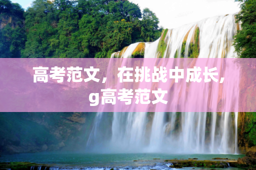 高考范文，在挑战中成长,g高考范文