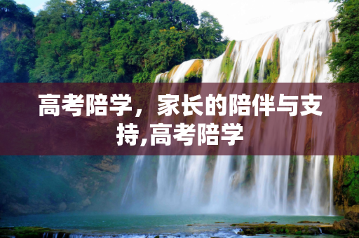 高考陪学，家长的陪伴与支持,高考陪学
