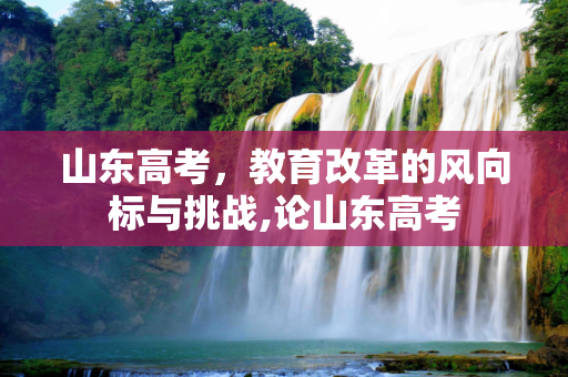山东高考，教育改革的风向标与挑战,论山东高考