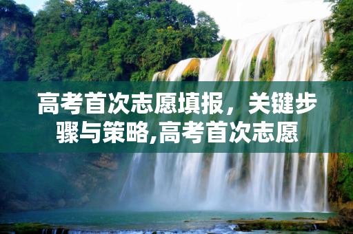 高考首次志愿填报，关键步骤与策略,高考首次志愿