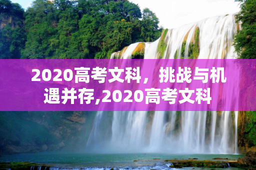 2020高考文科，挑战与机遇并存,2020高考文科
