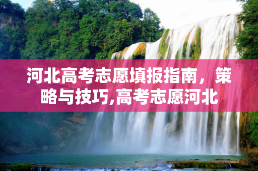 河北高考志愿填报指南，策略与技巧,高考志愿河北