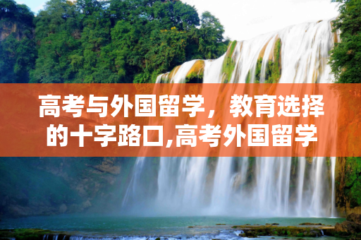 高考与外国留学，教育选择的十字路口,高考外国留学
