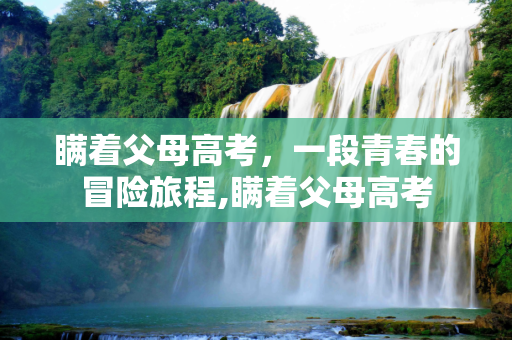 瞒着父母高考，一段青春的冒险旅程,瞒着父母高考